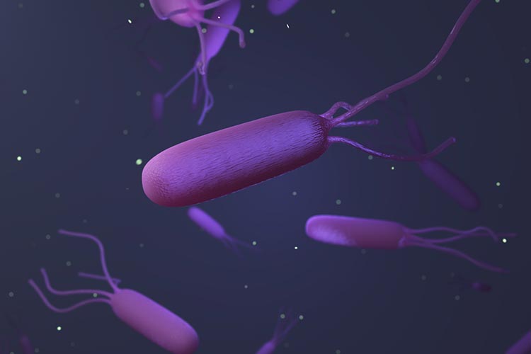 ピロリ菌イメージ